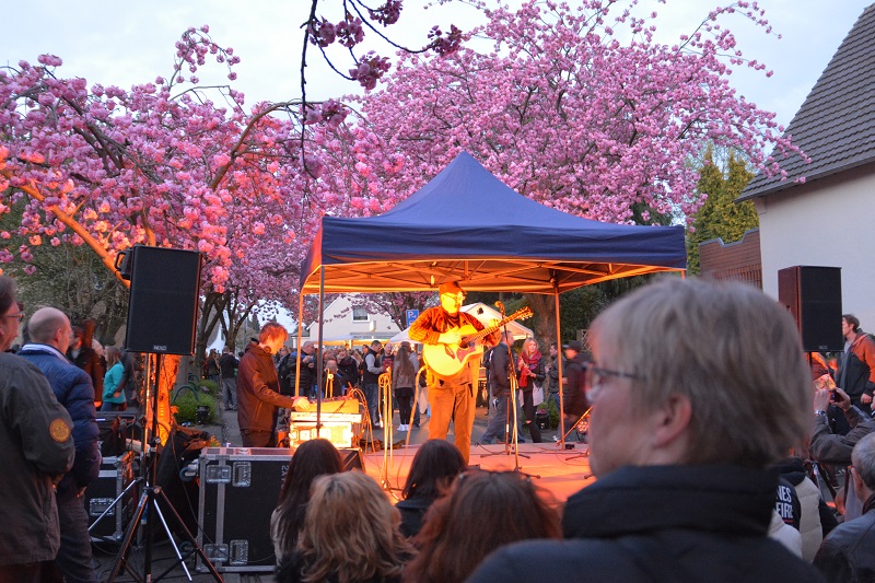 Cherry Blossom Fest Schwerte/Germany